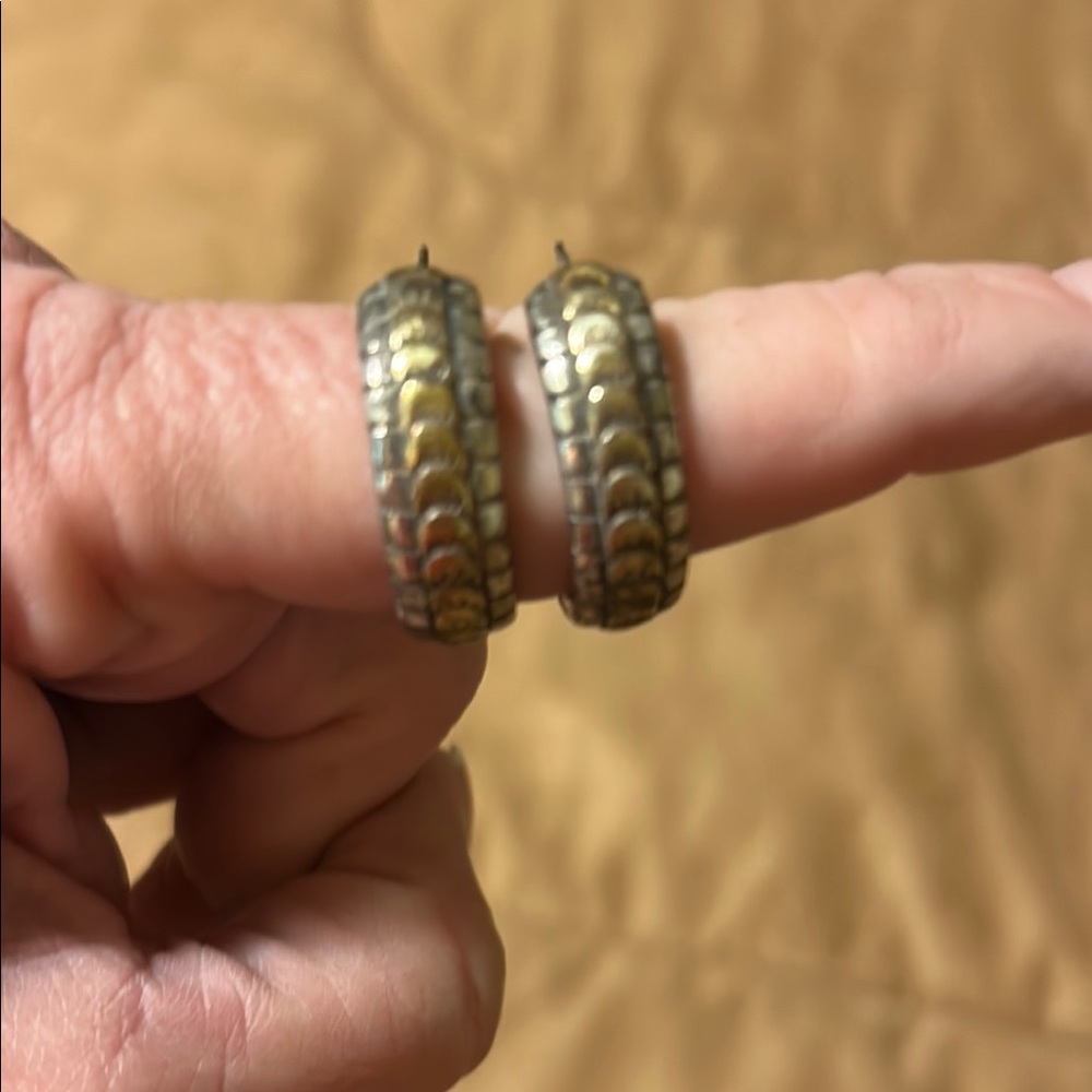 Gold and Silver Hoop Earrings